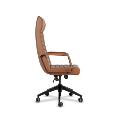 Rosetta Menadžerske Stolice